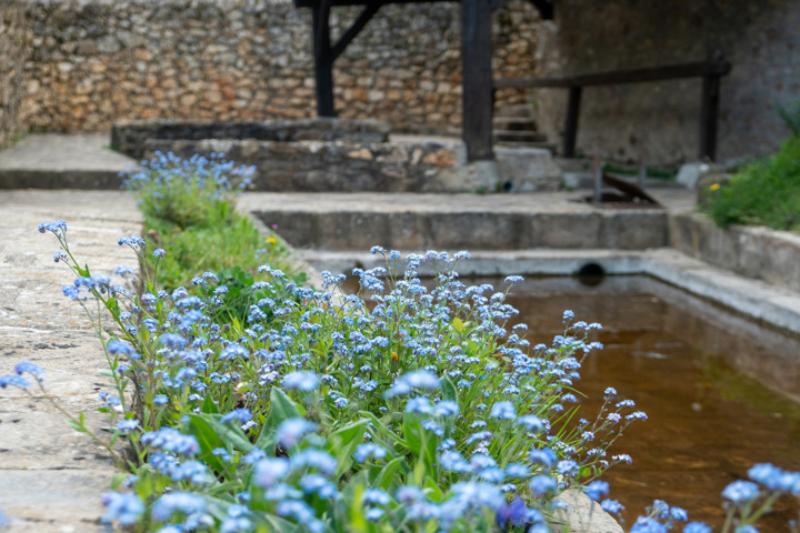 Lavoir fleuri