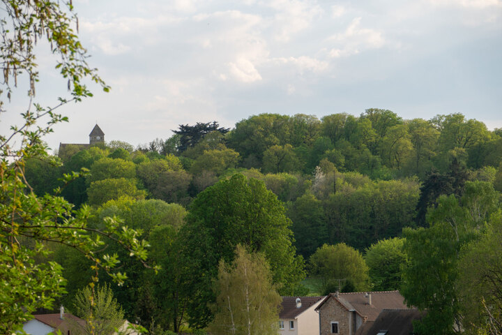 Vue verdoyante sur l'Abbaye