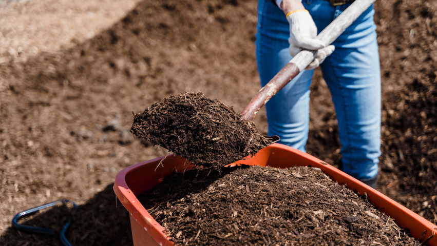 Compost